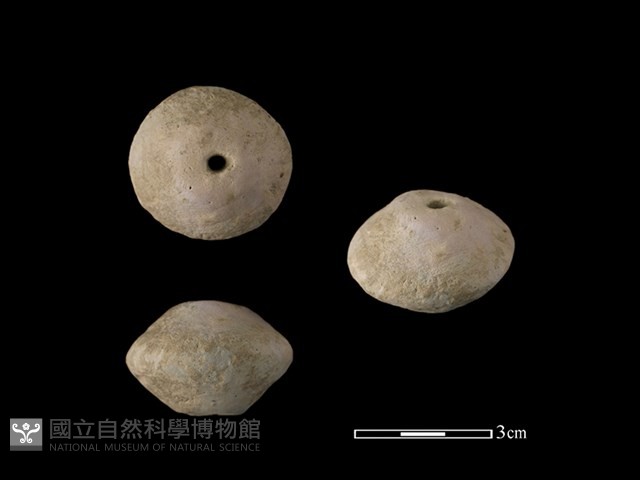 紡輪藏品圖，第1張