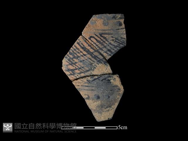 陶片藏品圖，第1張