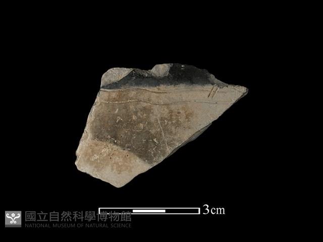 陶片藏品圖，第1張