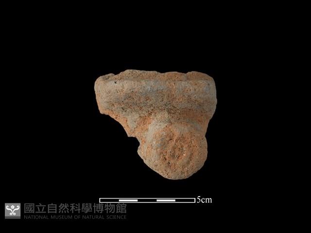 陶鈕藏品圖，第1張