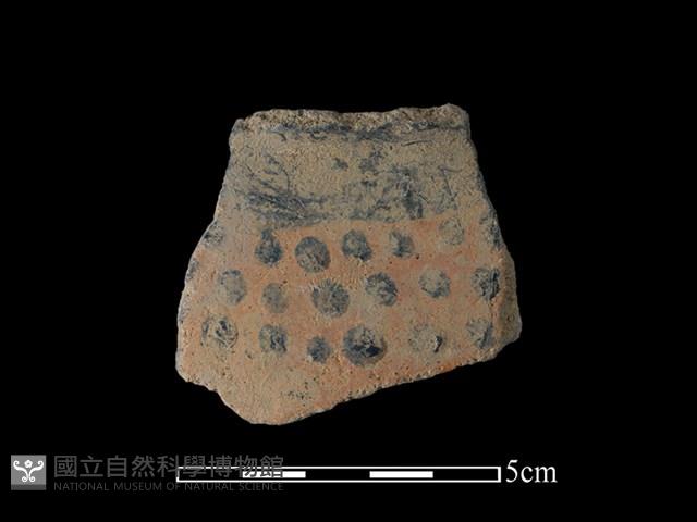 陶片藏品圖，第1張