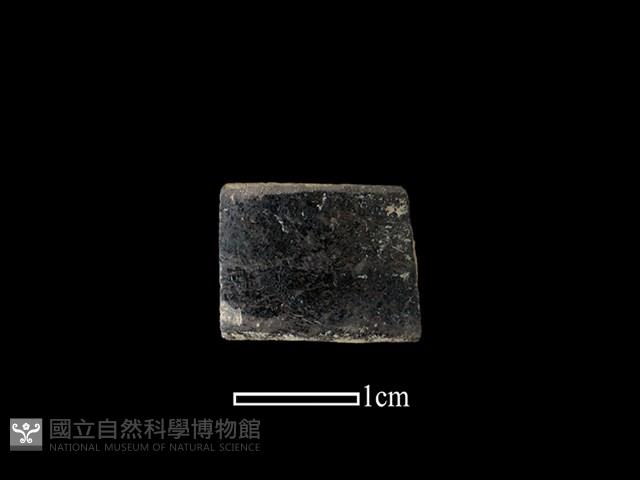 陶環藏品圖，第1張