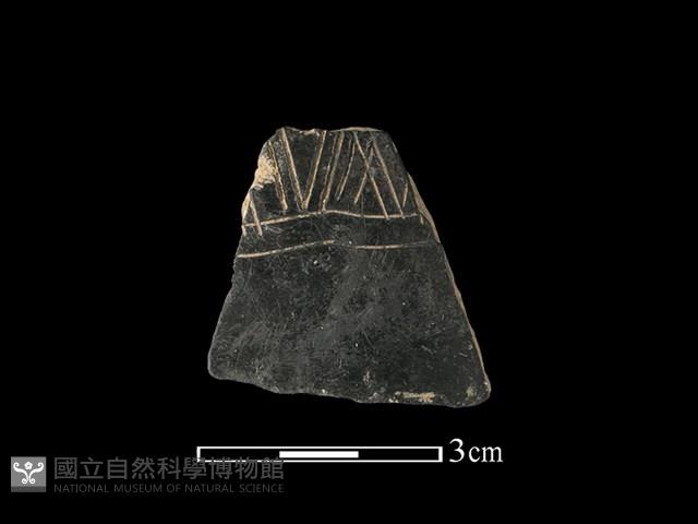 陶片藏品圖，第1張