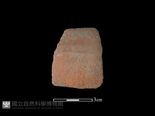 陶片藏品圖，第1張