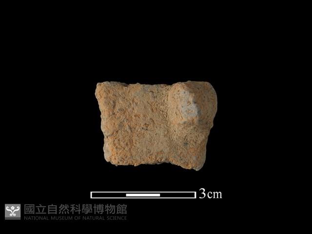 陶鈕藏品圖，第1張