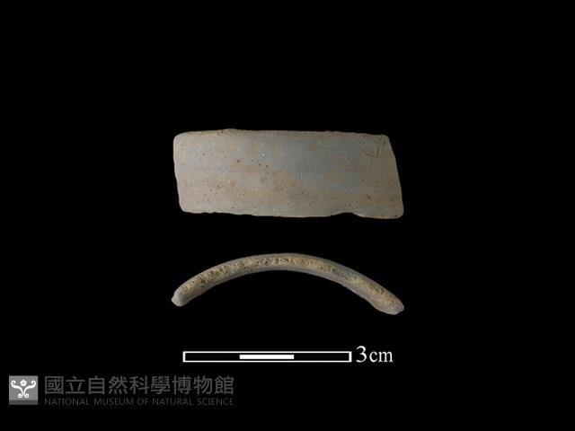 陶環藏品圖，第1張