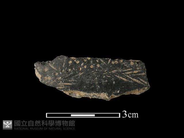 陶片藏品圖，第1張