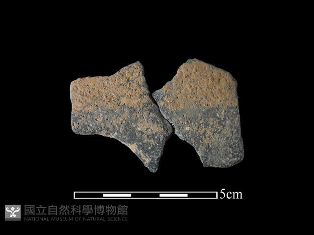 陶片藏品圖，第1張