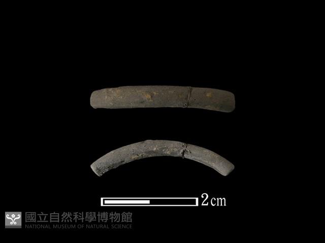 陶環藏品圖，第1張