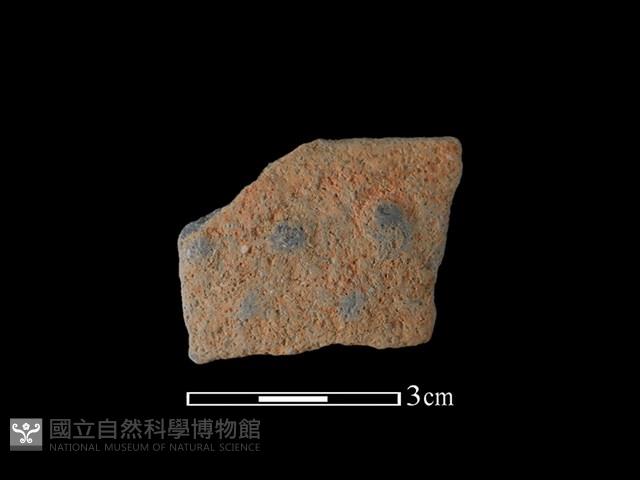 陶片藏品圖，第1張