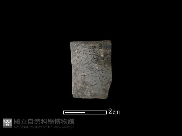 陶環藏品圖，第1張