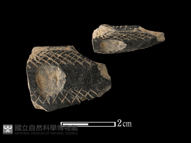 陶片藏品圖，第1張