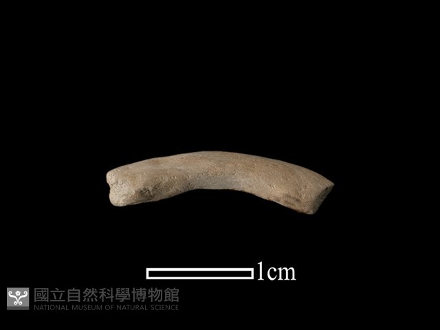 陶環藏品圖，第1張