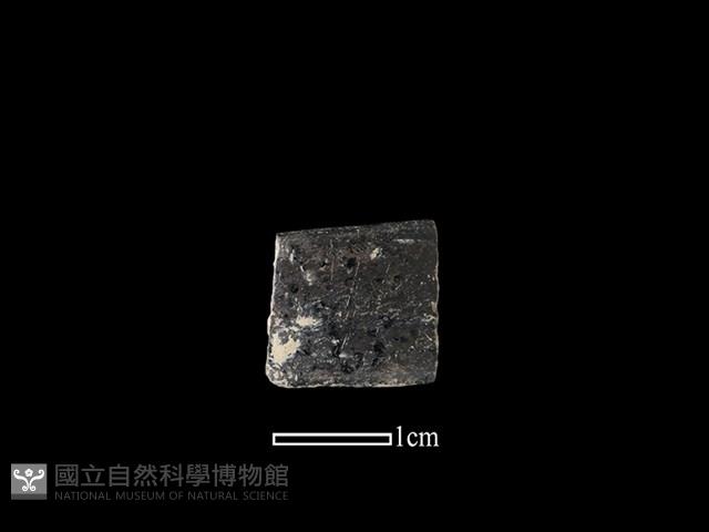 陶環藏品圖，第1張