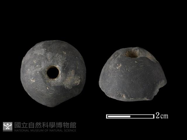 紡輪藏品圖，第1張