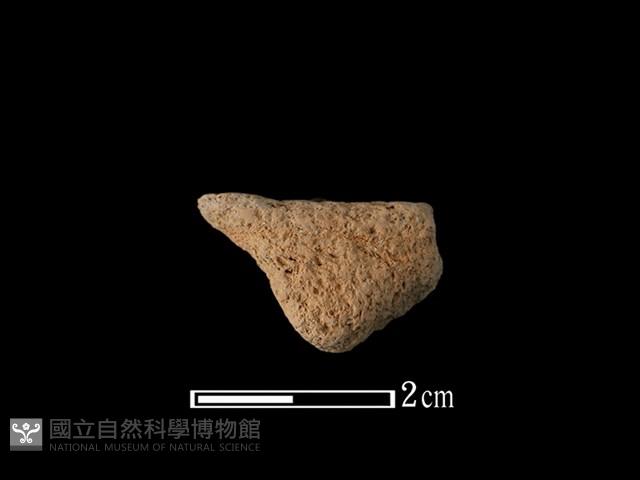 陶鈕藏品圖，第1張