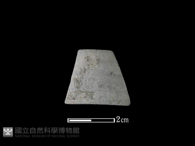 陶環藏品圖，第1張