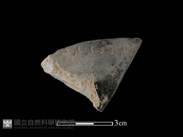 陶片藏品圖，第1張