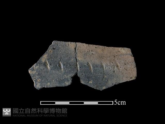 陶片藏品圖，第1張