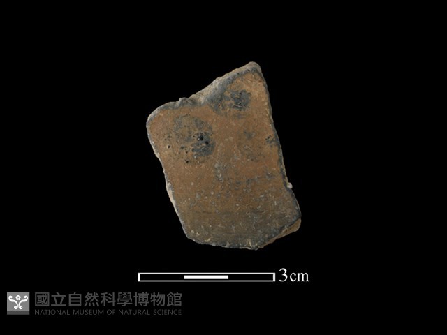 陶片藏品圖，第1張