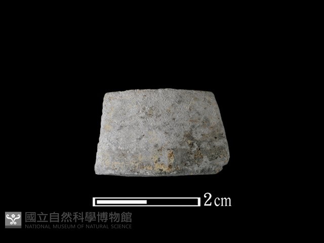 陶環藏品圖，第1張
