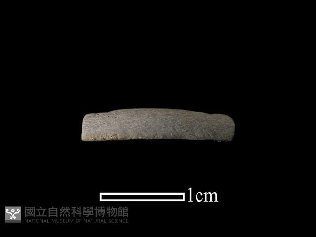 陶環藏品圖，第1張