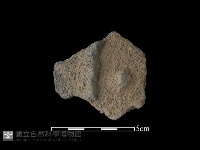 陶把藏品圖，第1張