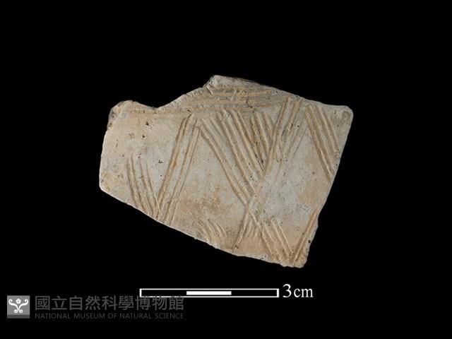 陶片藏品圖，第1張