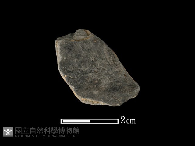 陶片藏品圖，第1張