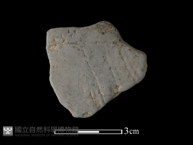 陶片藏品圖，第1張