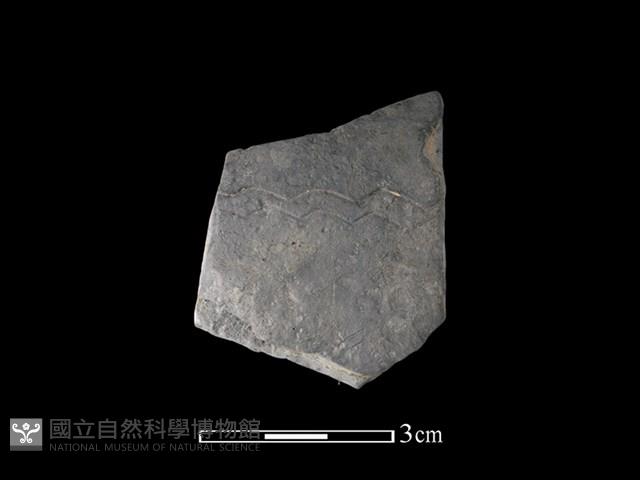 陶片藏品圖，第1張