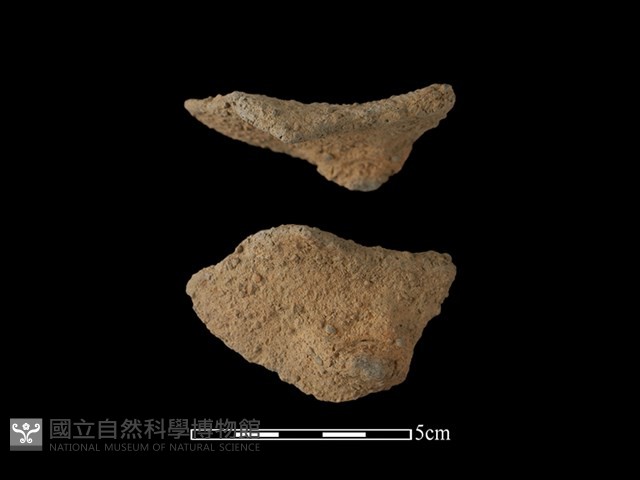陶鈕藏品圖，第1張
