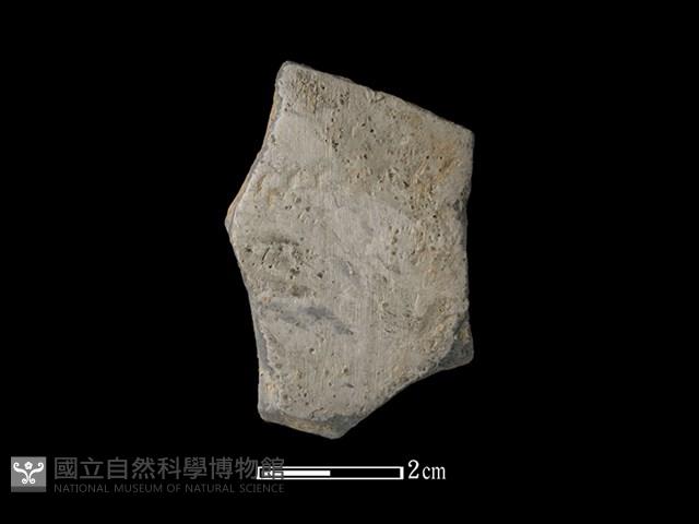 陶片藏品圖，第1張