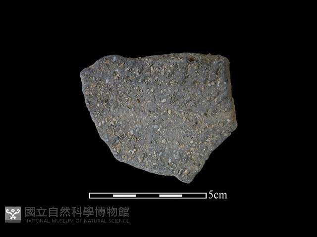 陶片藏品圖，第1張