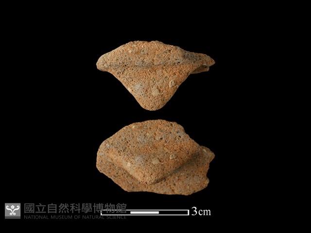 陶鈕藏品圖，第1張