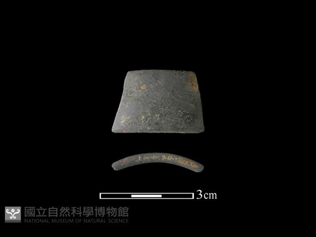 陶環藏品圖，第1張