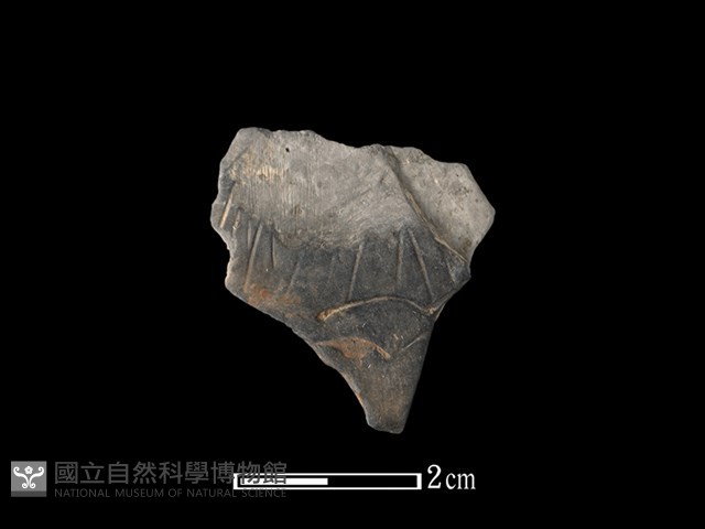 陶片藏品圖，第1張