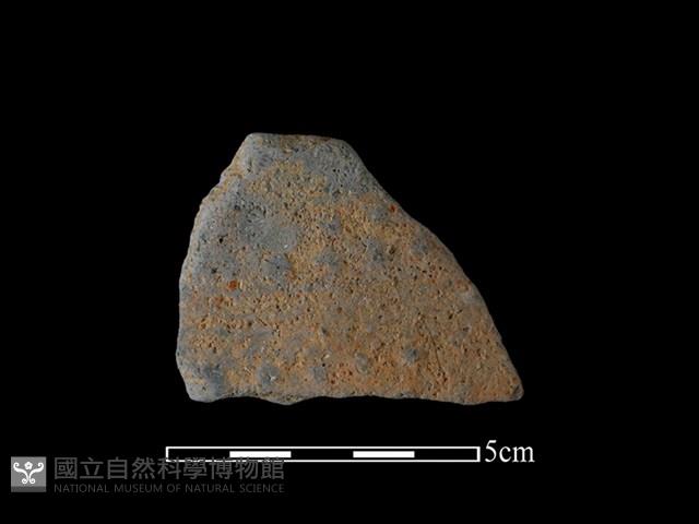 陶片藏品圖，第1張