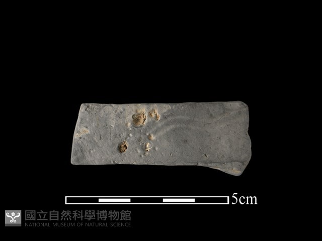 陶缽藏品圖，第1張