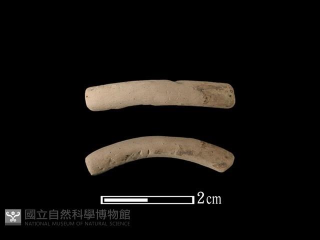 陶環藏品圖，第1張