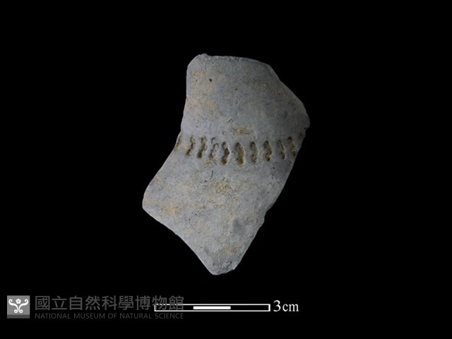 陶片藏品圖，第1張