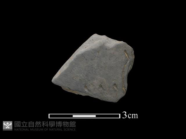 陶片藏品圖，第1張