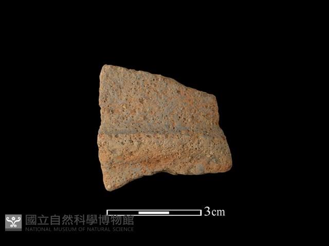 陶片藏品圖，第1張