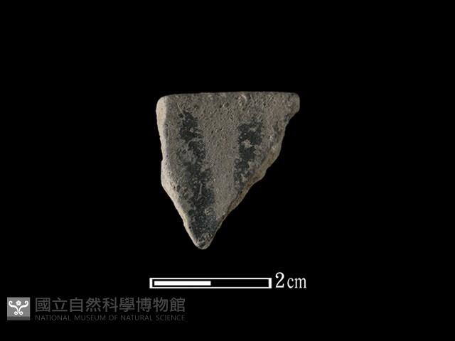 陶片藏品圖，第1張