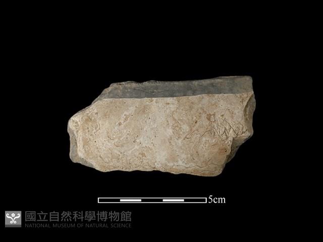 陶缽藏品圖，第1張