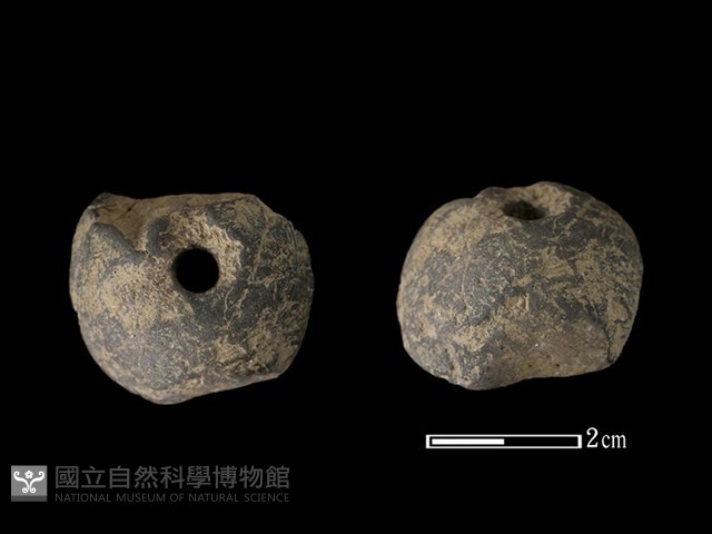 紡輪藏品圖，第1張