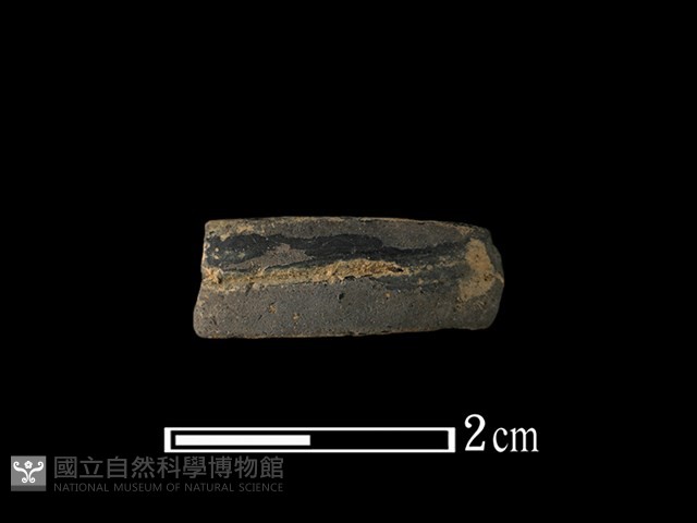 陶環藏品圖，第1張