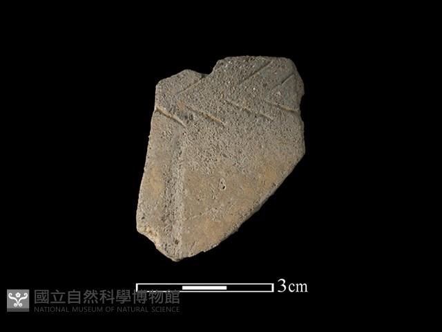 陶片藏品圖，第1張