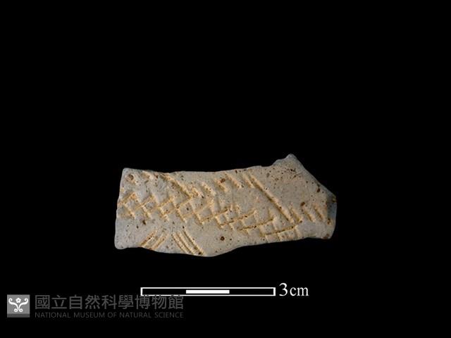 陶片藏品圖，第1張