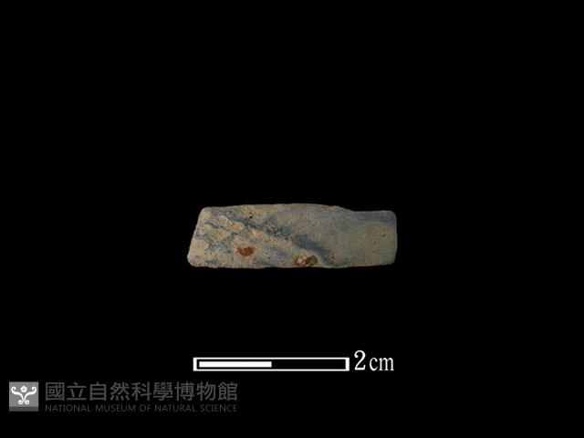 陶環藏品圖，第1張